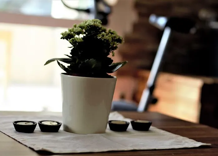 Apartment Rock & Sun Split