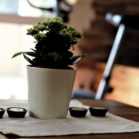 Apartament Rock & Sun Split